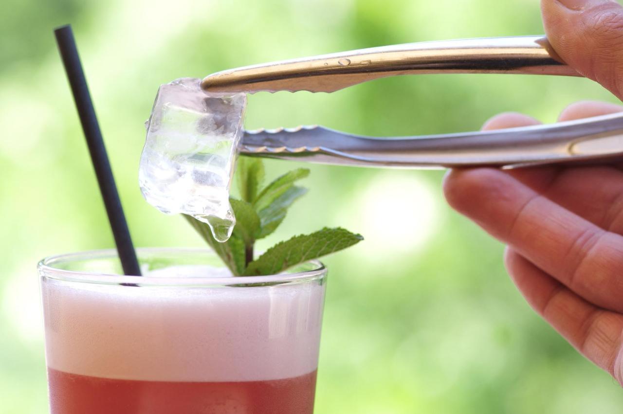 Domaine Du Ferret Restaurant & Spa Lège-Cap-Ferret Eksteriør billede